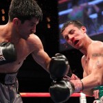 shobox shobox
