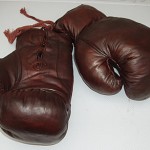 boxinggloves002l
