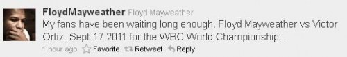 Floyd Mayweather vs Victor Ortiz