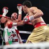Julio Cesar Chavez Jr