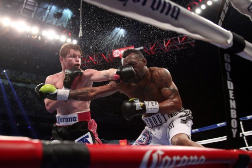 canelo1