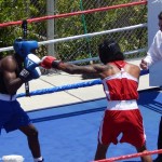 MosleyFight