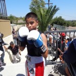 YoungBoxer
