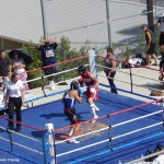 ringshotpomona