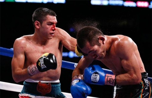 fight