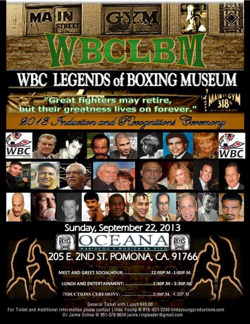boxing-wbc