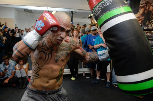 cotto-boxer
