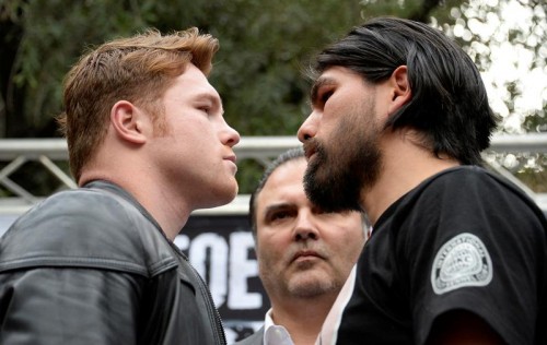 canelo-vs-perro
