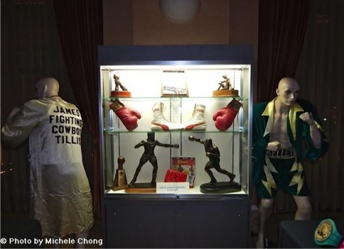MuseumCase