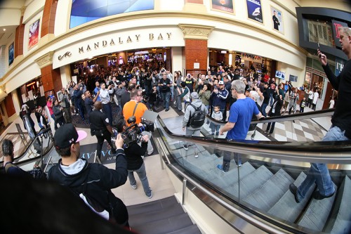 CottoCaneloArrivals_Hoganphotos3